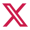 X (Twitter)